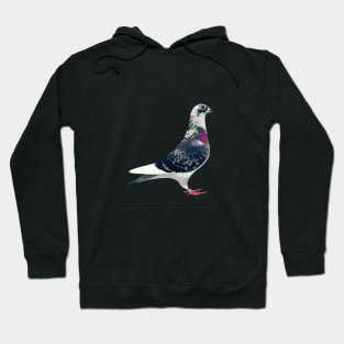 Top Pigeon Hoodie